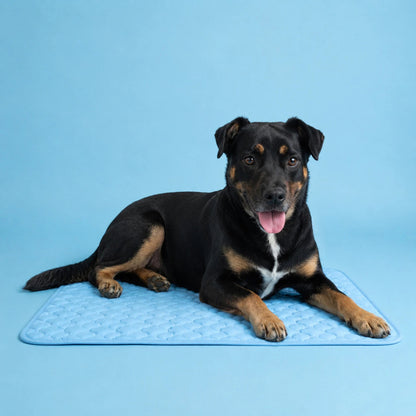 Patiser™ Premium Serinletici Mat | Kedi ve Köpekler İçin Ferah Dinlenme Alanı